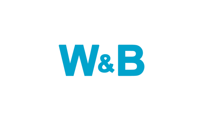 Public W&B - Создание и продвижение сайтов