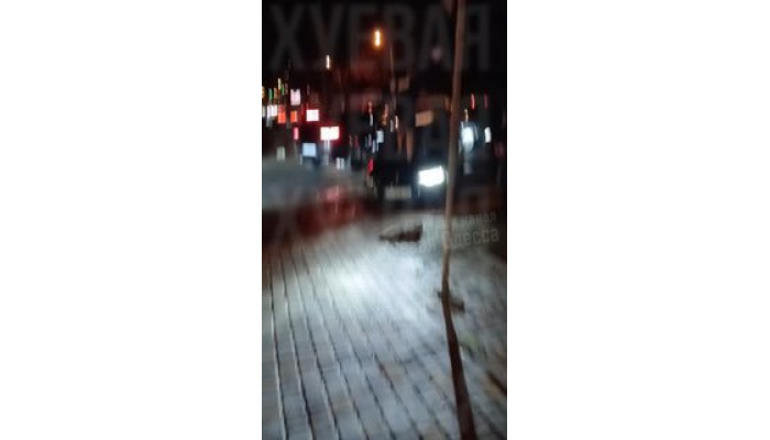 На Генуэзской шизик запрыгнул на машину после дтп и...